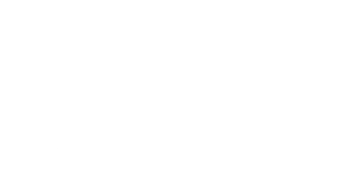 Joyeuses fetes 002