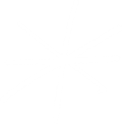 Hand drawn snowflake 5 flipped