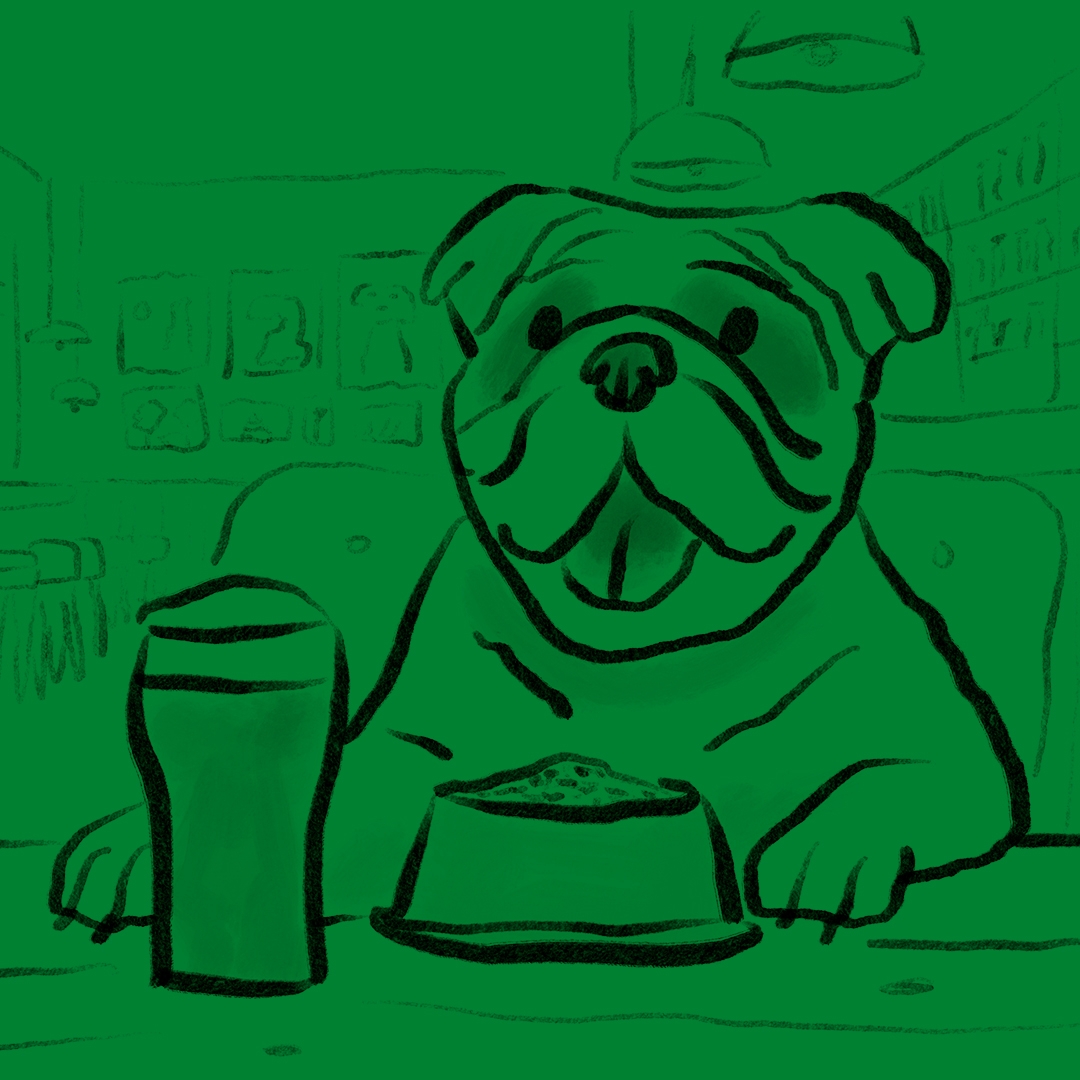 Ilot web coverblog Bulldog Biere carre vert