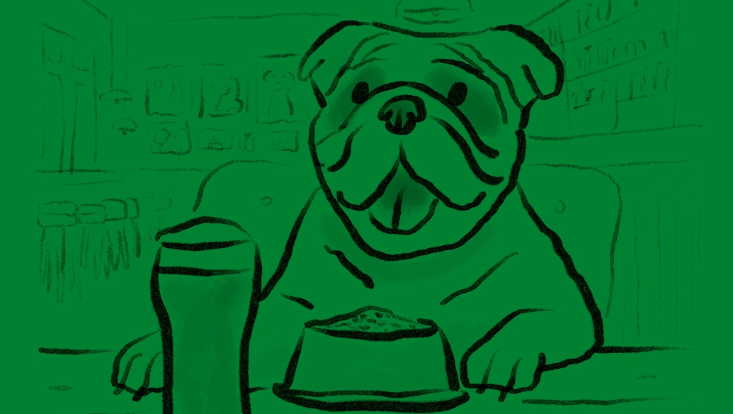 Ilot web coverblog Bulldog Biere horizontal vert